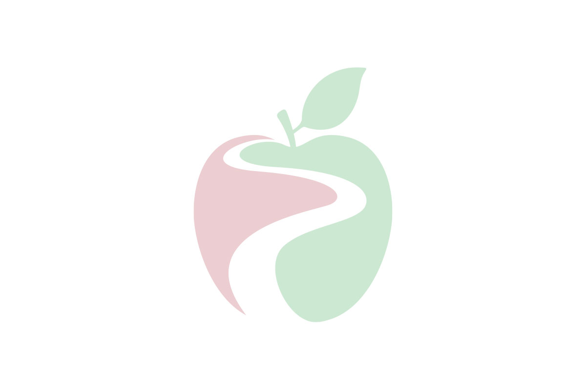 Explore Lac Rescent Placeholder - Explore La Crescent